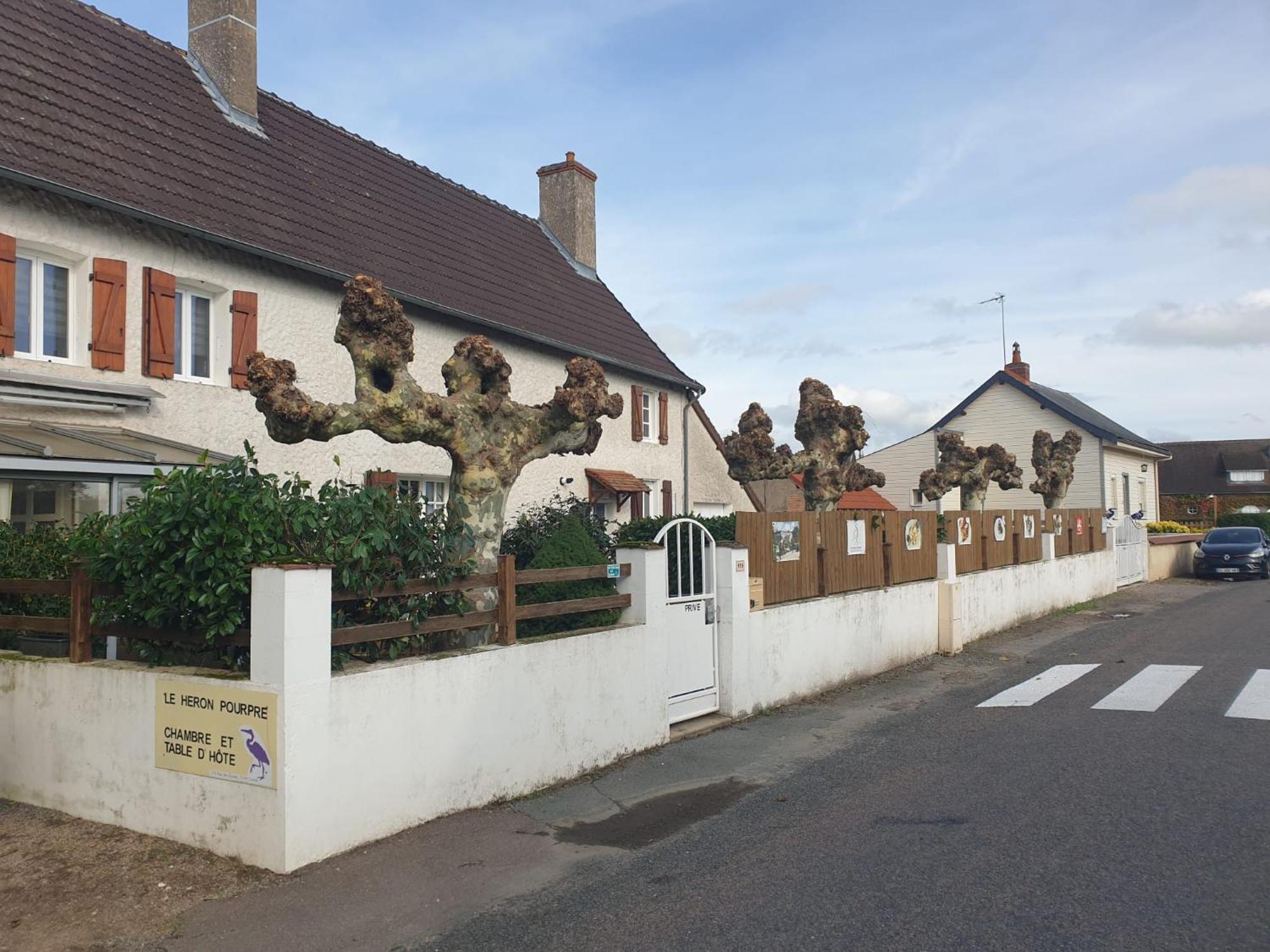 Le Heron Pourpre B&B Gastronomique Cronat Zewnętrze zdjęcie